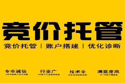 案例解析：SEM推广优化成功之道